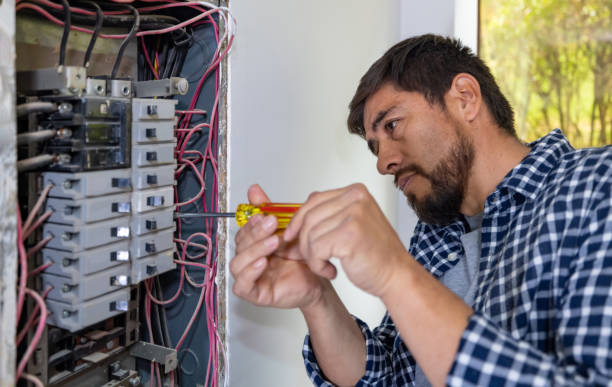 Best Electric Panel Repair  in Sun Valley, NV